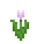 A Minecraft pink tulip.